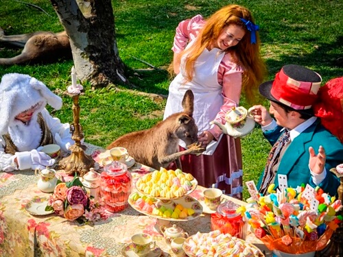 גן גורו ניר דוד